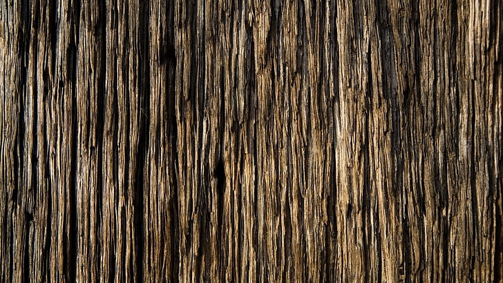 brown rough surface, bark, wood, background, texture, wood - Material