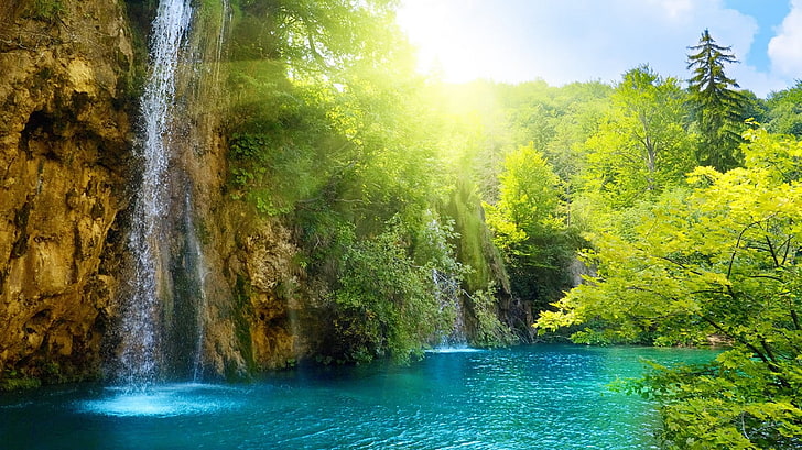 nature trees forest waterfalls 1366x768  Nature Forests HD Art