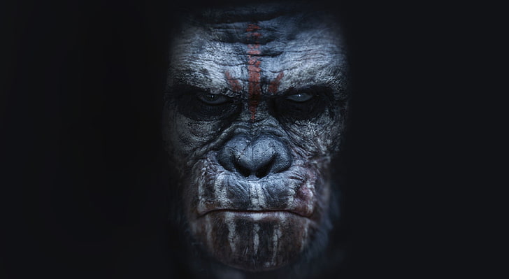 Planet of the Apes 1080P, 2K, 4K, 5K HD wallpapers free download | Wallpaper  Flare