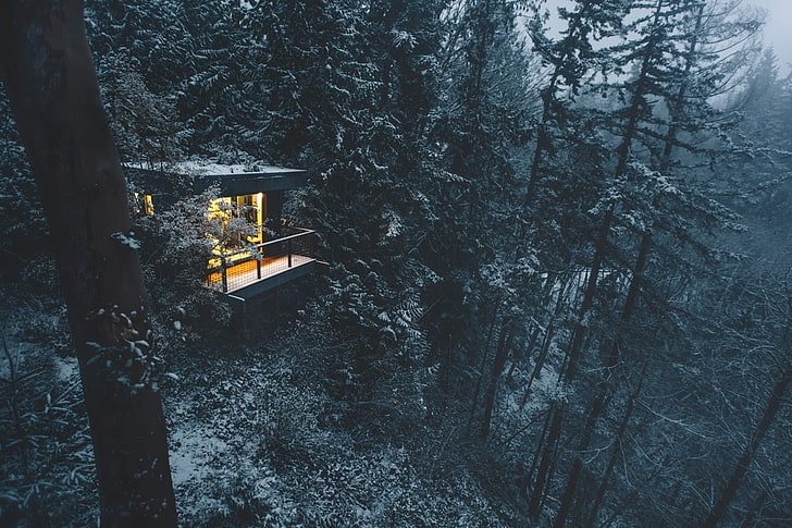 gray cabin, photography, nature, landscape, winter, forest, snow