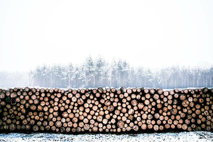 winter, wood, lumber, woodpile, timber, log, trunk, HD wallpaper