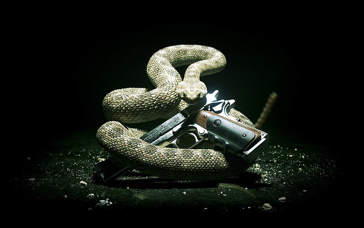brown snake and black and brown pistol, Hitman: Absolution, gun, HD wallpaper