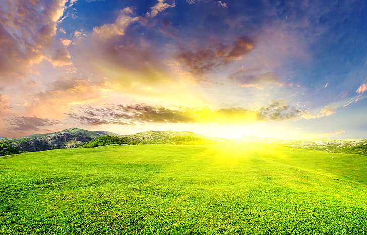 green grass field, summer, the sky, the sun, clouds, landscape, HD wallpaper