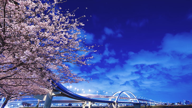 pink cherry blossom tree and gray concrete bridge, japan, hokkaido