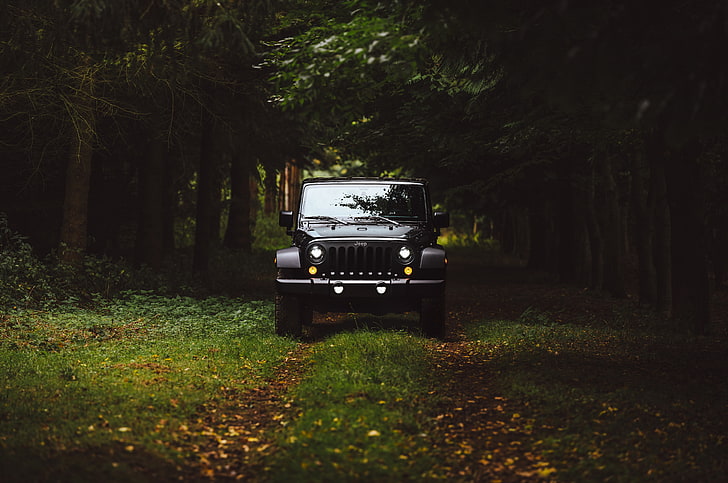 black Jeep Wrangler, car, suv, front view, grass, 4x4, off-Road Vehicle