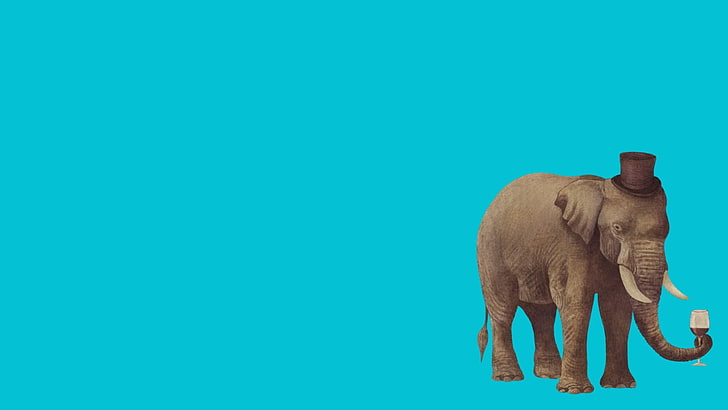 elephant, minimalism, animals, animal themes, mammal, copy space, HD wallpaper