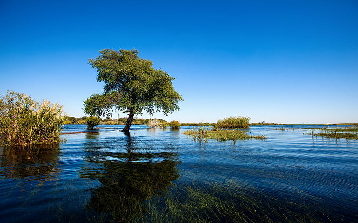 Africa, nature, landscape, flood, water, clear sky, trees, HD wallpaper