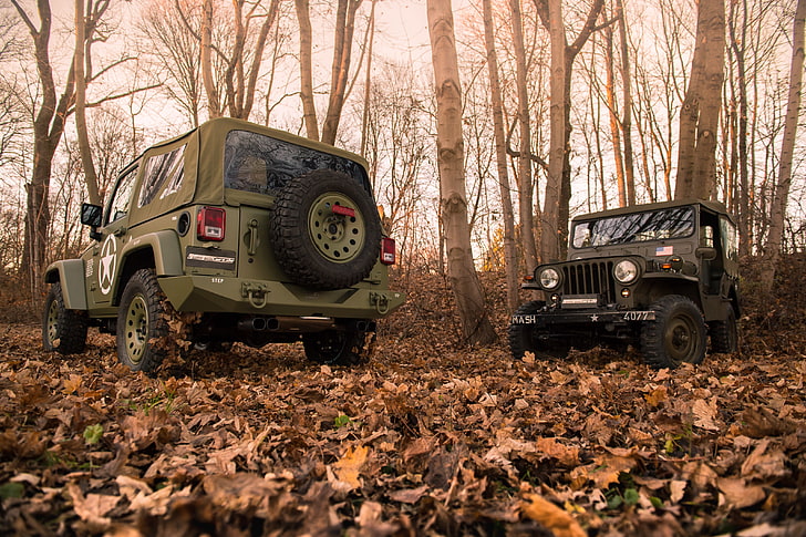 (jk), 2017, 4x4, geiger-willys, jeep, military, tuning, wrangler