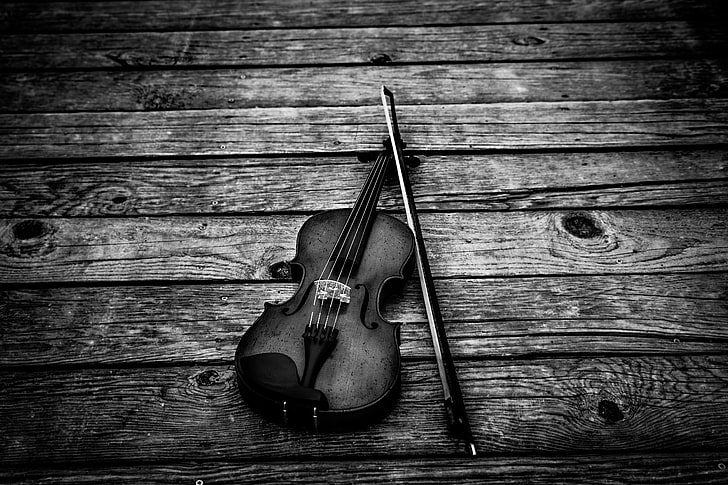 grayscale photo violin, bw, violin bow, music, musical Instrument