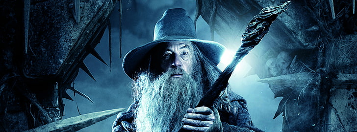 THE HOBBIT THE DESOLATION OF SMAUG Gandalf..., Harry Potter Gandalf, HD wallpaper