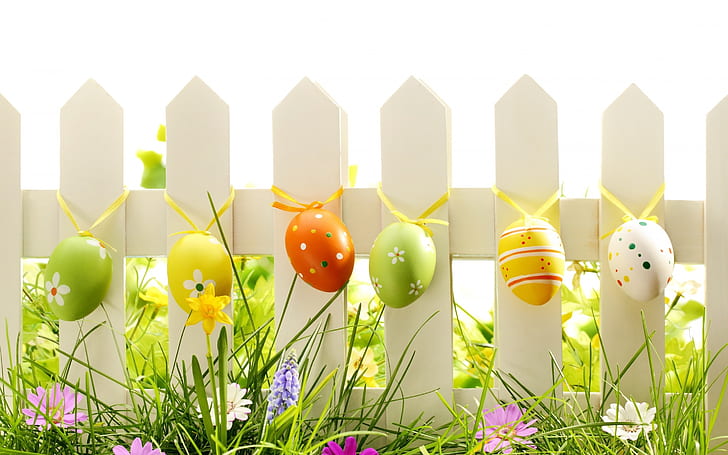 Lovely Easter Eggs Decoration, HD wallpaper