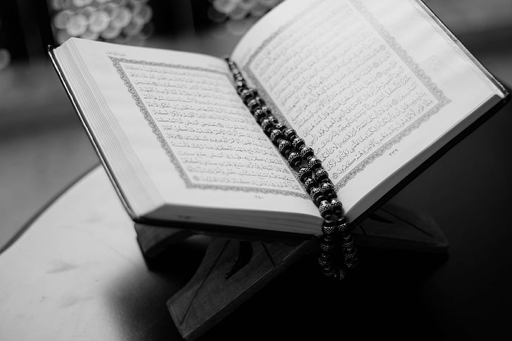 book, close up, faith, holy, islam, koran, macro, muslim, quran