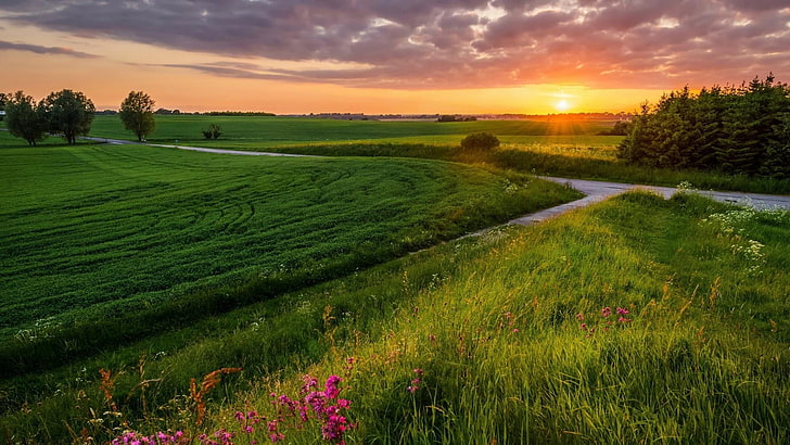 HD wallpaper: grassland, nature, field, sky, meadow, farm, morning, prairie  | Wallpaper Flare