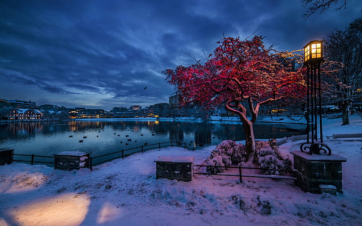 Norway, Rogaland, Stavanger, winter, snow, evening, lights, city, houses
