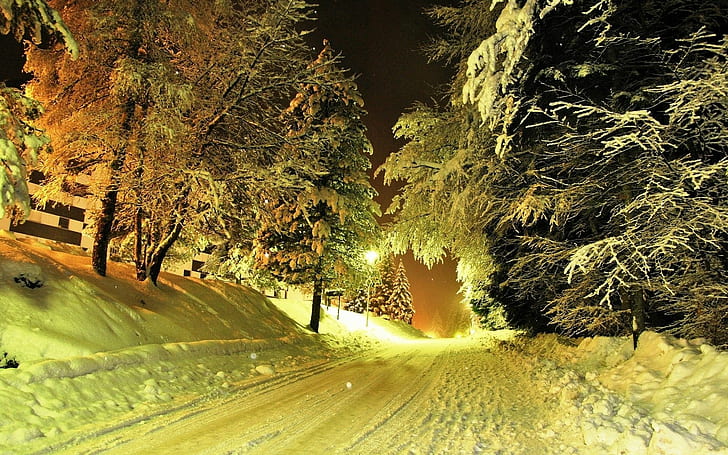winter, nature, snow, night, trees, road, lights, HD wallpaper