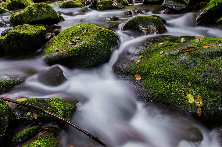 rock with moss with water, stone, bukidnon, philippines, stream, HD wallpaper