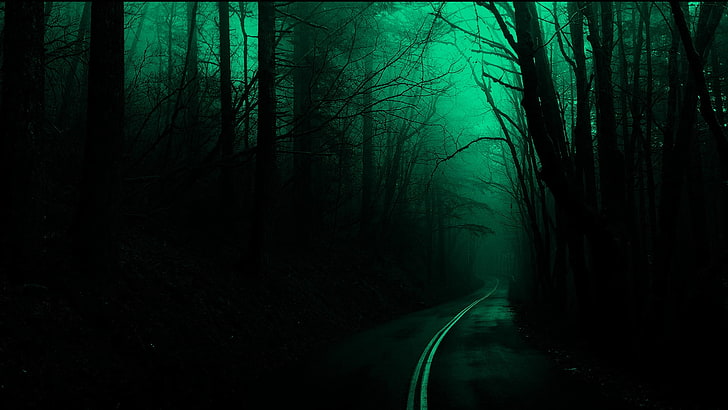 silhouette of forest, trees, road, dark, nature, spooky, plant, HD wallpaper