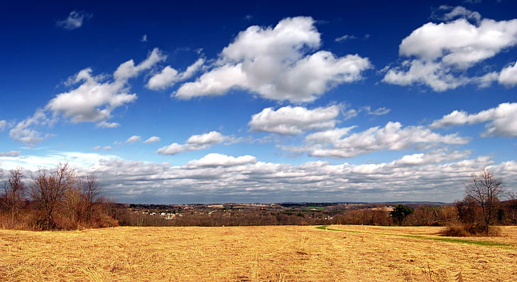 brown field under white and blue cloudy sky during daytime, Atmospheric
