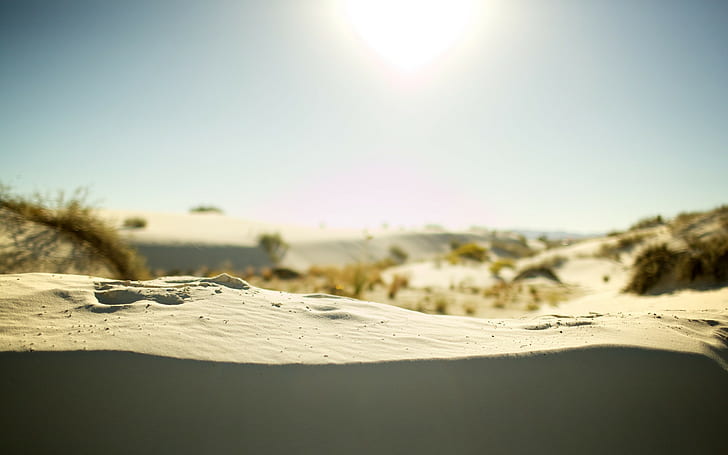 dune, sand, plants, outdoors, soft, HD wallpaper
