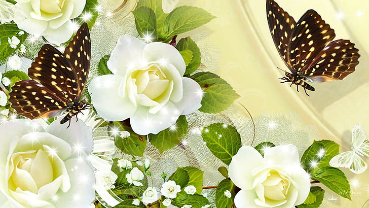 Sparkle Of Cream Roses, white rose flowersand black butterflies, HD wallpaper