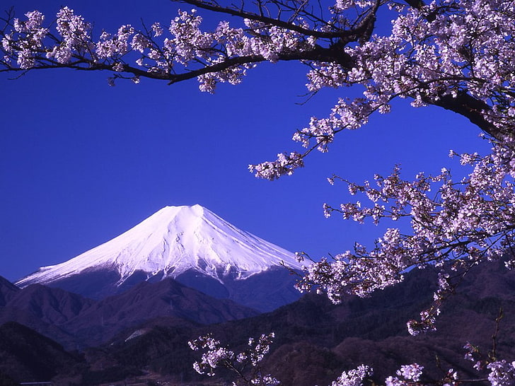 Mt. Fuji, Japan, Volcanoes, Mount Fuji, Mountain, mt Fuji, nature, HD wallpaper