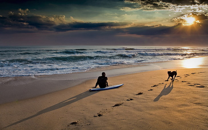white surfboard, surfing, waves, beach, people, sky, dog, sunlight