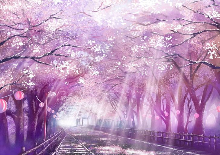 anime landscape, scenic, sakura blossom, cherry, path, sunlight, HD wallpaper