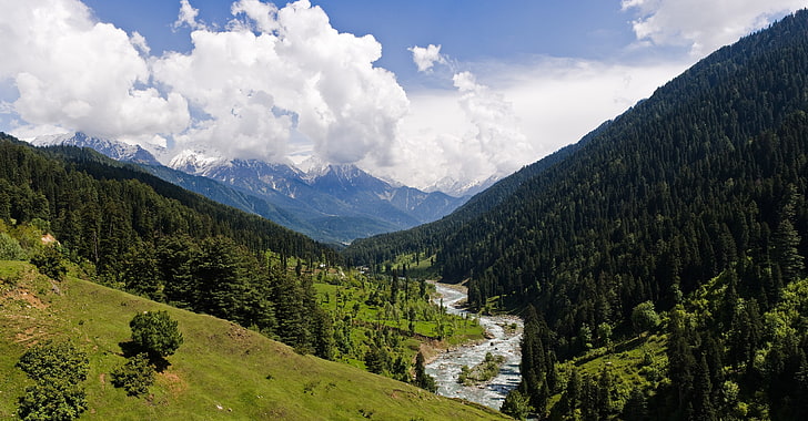 nature, landscape, valley, Kashmir, mountains, forest, grass