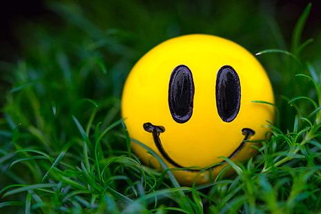 HD wallpaper: yellow emoji ball, grass, macro, smile, smiley, plant,  close-up | Wallpaper Flare