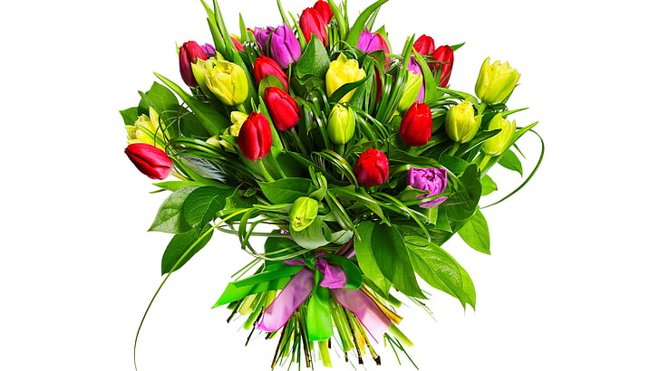 flowers, bouquets, tulips, white background, freshness, studio shot, HD wallpaper