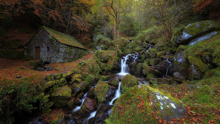 waterfall, moss, house, stream, forest, HD wallpaper