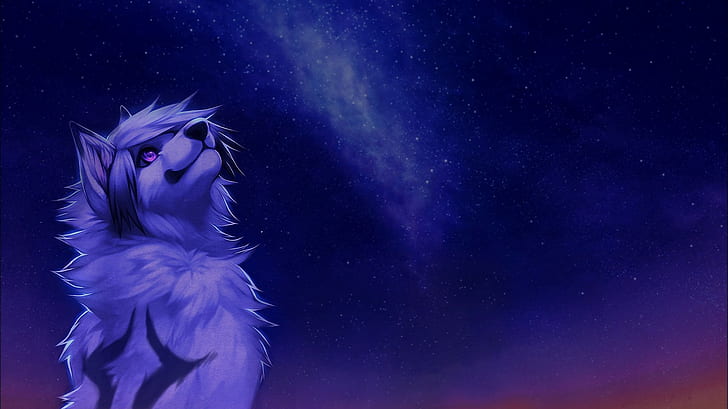 furry anthros falvie, night, star - space, blue, young adult, HD wallpaper