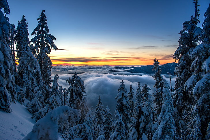 winter, forest, clouds, snow, trees, sunset, mountains, ate