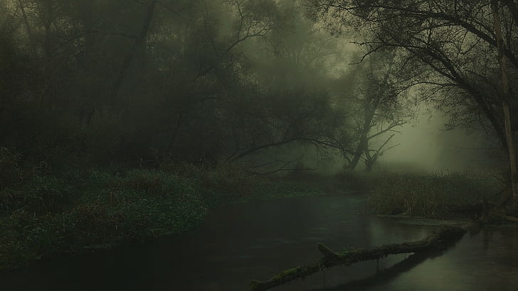 river, dark, mist, atmosphere, Germany, landscape, nature, shrubs