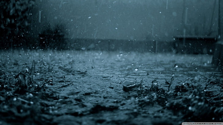 raindrops, water drops, wet, nature, no people, winter, cold temperature, HD wallpaper