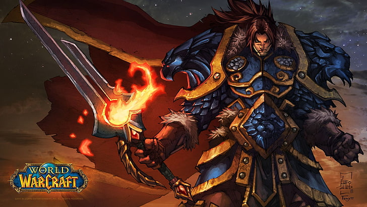 World of Warcraft digital wallpaper, hero, wow, night, fire - Natural Phenomenon