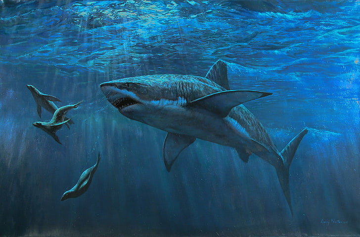 shark, sea, animals, underwater, Larry Norton, animal wildlife, HD wallpaper