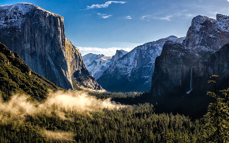 USA, California, Yosemite National Park, mountains, forest, fog, HD wallpaper