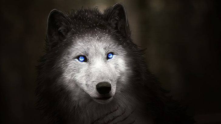 animals, wolf, artwork, blue eyes, one animal, animal themes, HD wallpaper