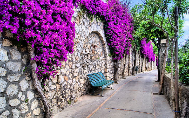 Beautiful city, Italy, streets, trees, flowers, benches, green metal bench