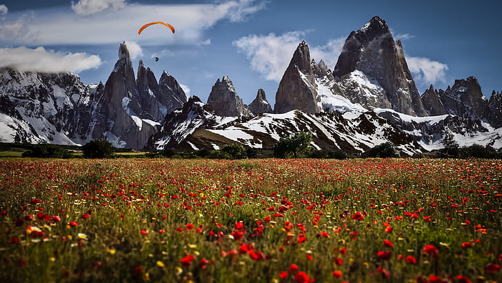 los glaciares national park, parachute, paragliding, paraglider, HD wallpaper
