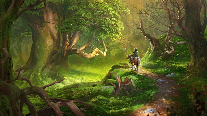link video games the legend of zelda forest, HD wallpaper
