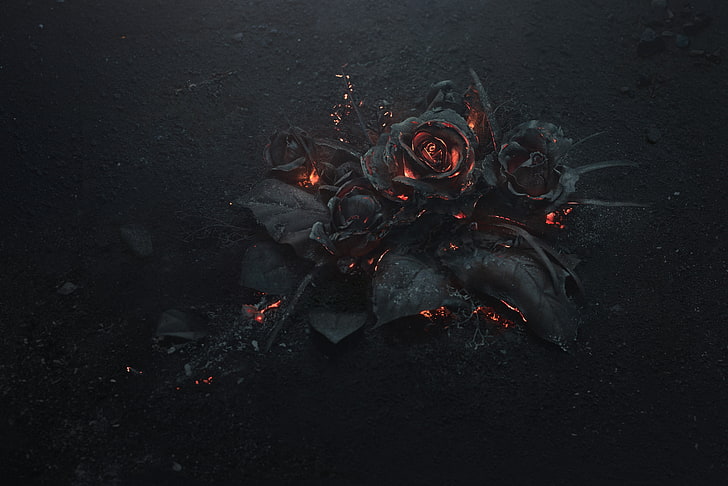 HD wallpaper: black rose illustration, ash, burning, abstract, dark,  flowers | Wallpaper Flare