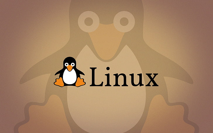 Linux, Tux, penguins, open source, logo, communication, text, HD wallpaper