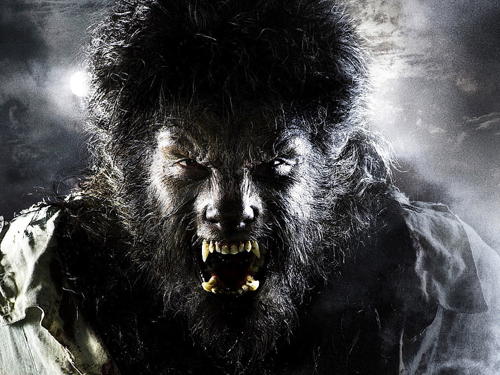 werewolf illustratioin, The Wolf Man, Benicio Del Toro, The Wolfman, HD wallpaper