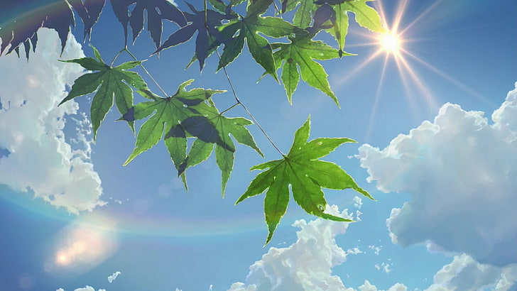 clouds, leaves, Makoto Shinkai, summer, Sun Rays, sunlight, HD wallpaper