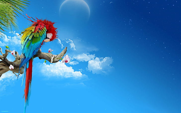 HD wallpaper: macaws, moon, multicolor, parrots, scarlet, skyscapes ...