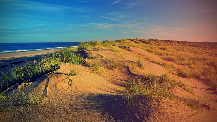 dune, nature, sand, soil, desert, landscape, sky, travel, hill, HD wallpaper