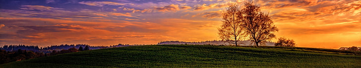landscape, triple screen, sunset, sky, plant, scenics - nature, HD wallpaper