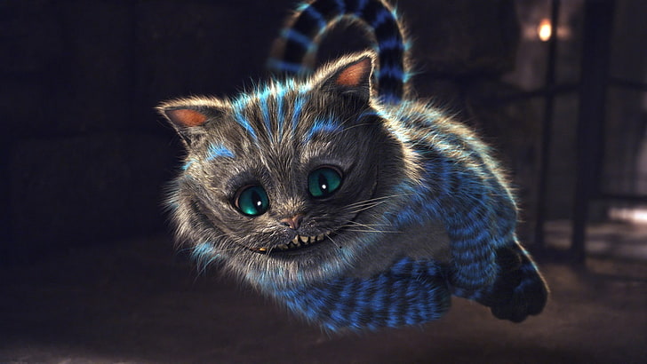 Alice in Wonderland Cheshire wallpaper, Cheshire Cat, domestic, HD wallpaper